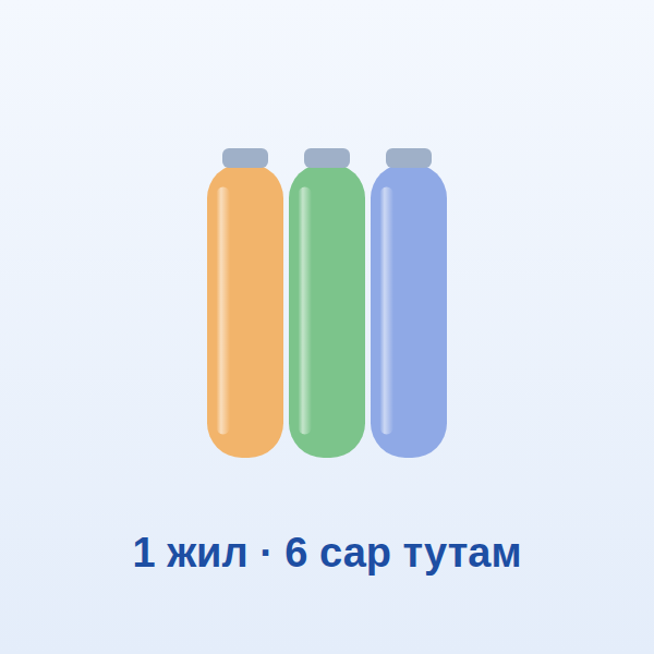 Шүүлтүүр солих багц · 1 жил